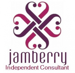 Gina R Wolfgang ~ Independent Jamberry Consultant